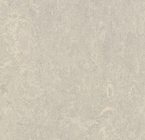 T3136 Concrete